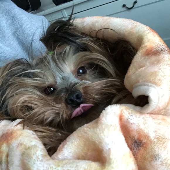 Meet your Posher, Christine - Picture 1 of 1